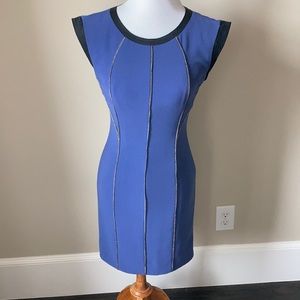 Rebecca Taylor gorgeous dress with edgy chain trim